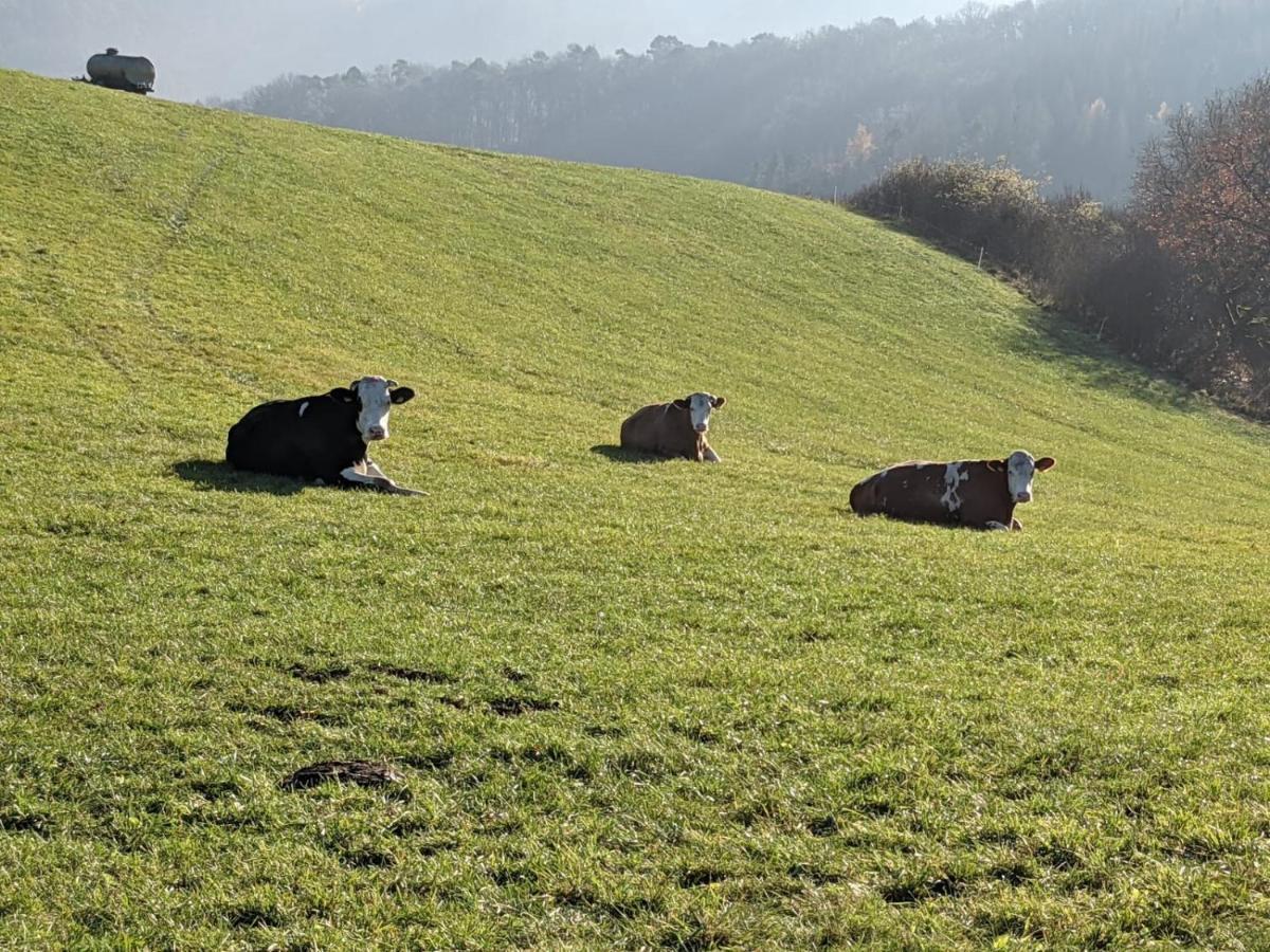 Ferienwohnungen Am Aeppelsberg Volkesfeld المظهر الخارجي الصورة